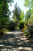 Bellevue Bot Garden
